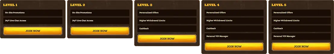 Lizaro VIP program